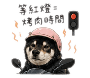 845413333