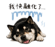 845413334