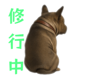 845413574