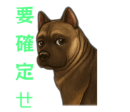 845413575