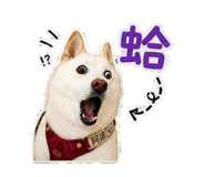 845413748