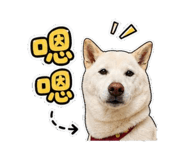 845413754