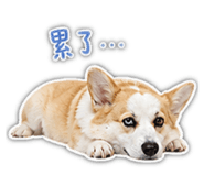 845414109