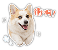 845414111