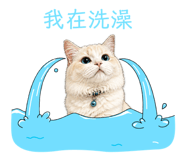 845415666
