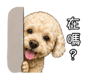 845416396