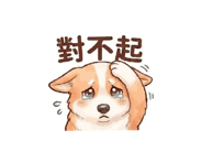 845417097