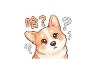 845417098