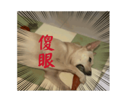 845417852