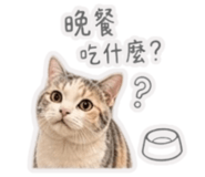 845420236