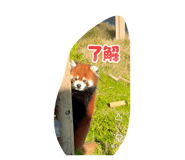 845420908