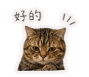 845420975