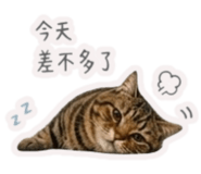 845420979