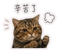 845420981