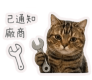 845420984
