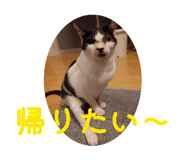 845421397