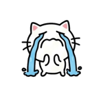 845421809