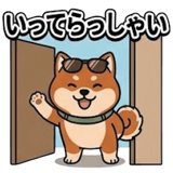 845423648