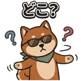 845424164