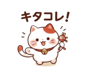 845425926