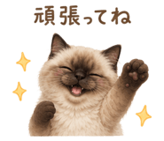 845426432