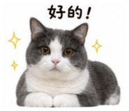 845427560