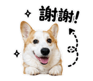 845427820