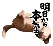 845427854