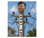 845428623