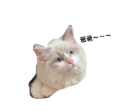 845428625