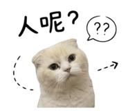 845428663
