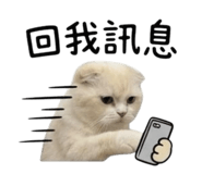 845428664