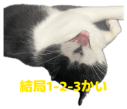 845429614
