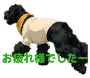 845429659