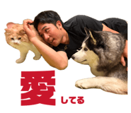 845430010