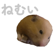845430235