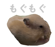 845430240