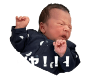 845430396