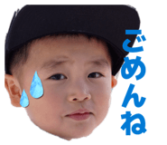 845430555