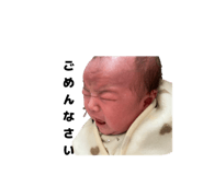 845430591