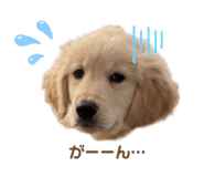 845430650
