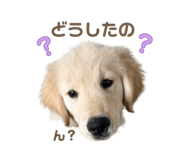 845430653