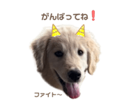 845430654