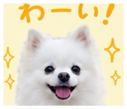 845430765