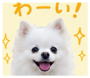 845430765