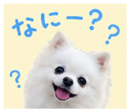 845430766