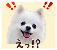 845430769