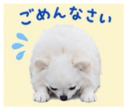 845430784