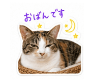 845430802