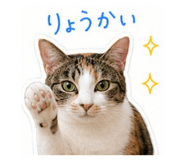 845430804